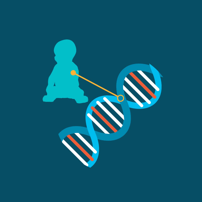 dwarfism gene mutation